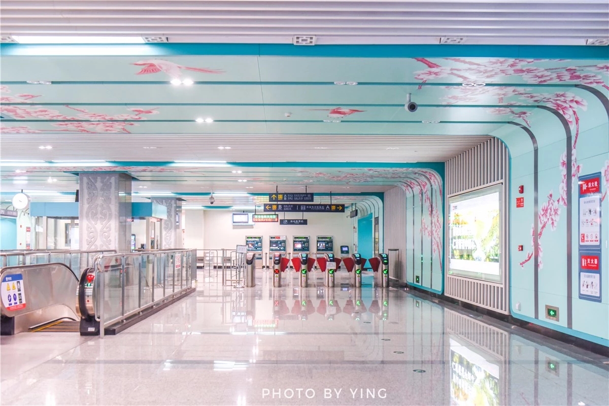 Traditional Chinese Medicine Hospital Station